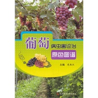 葡萄病虫害诊治原色图谱