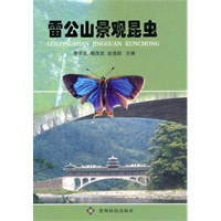 雷公山景观昆虫