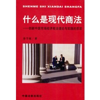 什么是现代商法--创新中国市场经济商法理论与实践的思索