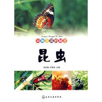 动物王国的秘密--昆虫
