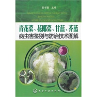 青花菜、花椰菜、甘蓝、芥蓝病虫害鉴别与防治技术图解