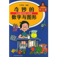奇妙的数字与图形——小学数学智力训练丛书