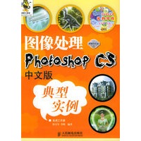 图像处理：Photoshop CS中文版典型实例（附CD-ROM光盘一张）