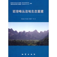 岩溶峰丛洼地生态重建
