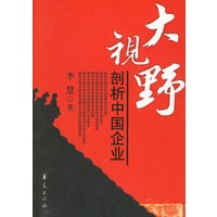 大视野剖析中国企业