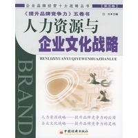 人力资源与企业文化战略(第五卷)