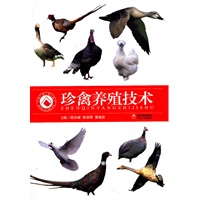 珍禽养殖技术
