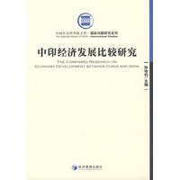 中印经济发展比较研究
