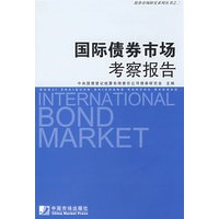 国际债券市场考察报告