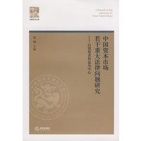 中国资本市场若干重大法律问题研究