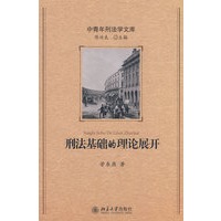 中青年刑法学文库——刑法基础的理论展开