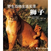 狮子：野生动物生活实录（精装）