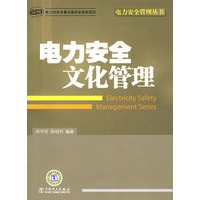 电力安全管理丛书 电力安全文化管理