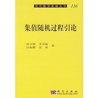 集值随机过程引论