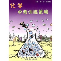 化学中考训练策略