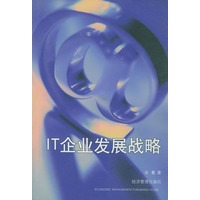 IT企业发展战略