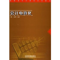 会计电算化