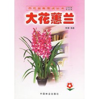 大花蕙兰——百花盆栽图说丛书