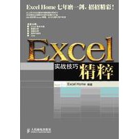   Excel实战技巧精粹（附光盘） TXT,PDF迅雷下载