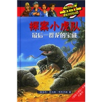 探案小虎队:最后一群龙的宝藏（精装）