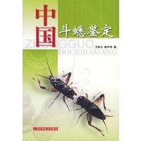 中国斗蟋鉴定