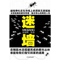 迷墙