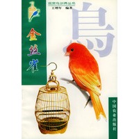 金丝雀