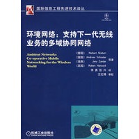 环境网络：支持下一代无线业务的多域协同网络