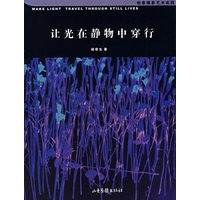 让光在静物中穿行