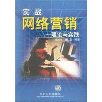 实战网络营销-理论与实践