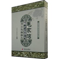 毛家湾——明代瓷器坑考古发掘报告