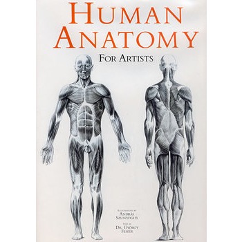 艺术家用人体解剖(附1200附插图) human anatomy for artists