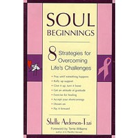 (灵的升华:超越挑战的八大策略)Soul Beginnings:Eight Strategies for Overcoming Life's Challenges