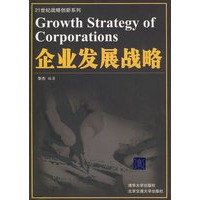 企业发展战略（21世纪战略创新系列）