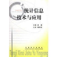 统计信息技术与应用