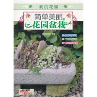 简单美丽的花园盆栽