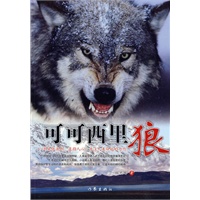 可可西里狼