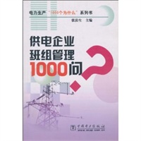 供电企业班组管理1000问/电力生产1000个为什么系列书