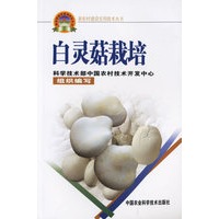 白灵菇栽培——新农村建设实用技术丛书