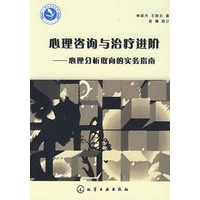 心理咨询师继续教育丛书：心理咨询与治疗进阶-心理分析取向的实务指南