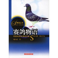赛鸽物语