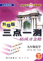 三点一测：九年级化学 下（山东教育版 升级版）