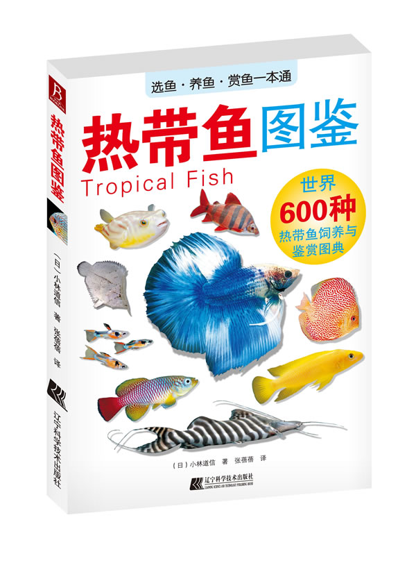 热带鱼图鉴-世界600种热带鱼饲养与鉴赏图典 