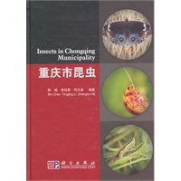 重庆市昆虫