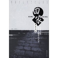 画家系列：大型文化纪实电视节目丛书