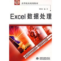 Excel 数据处理 (21世纪高等院校规划教材)
