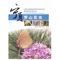 宁夏罗山昆虫