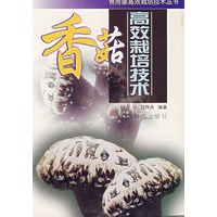 香菇高效栽培技术