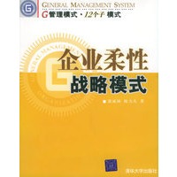 企业柔性战略模式——G管理模式·12个子模式