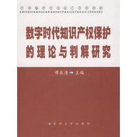 数字时代知识产权保护的理论与判解研究